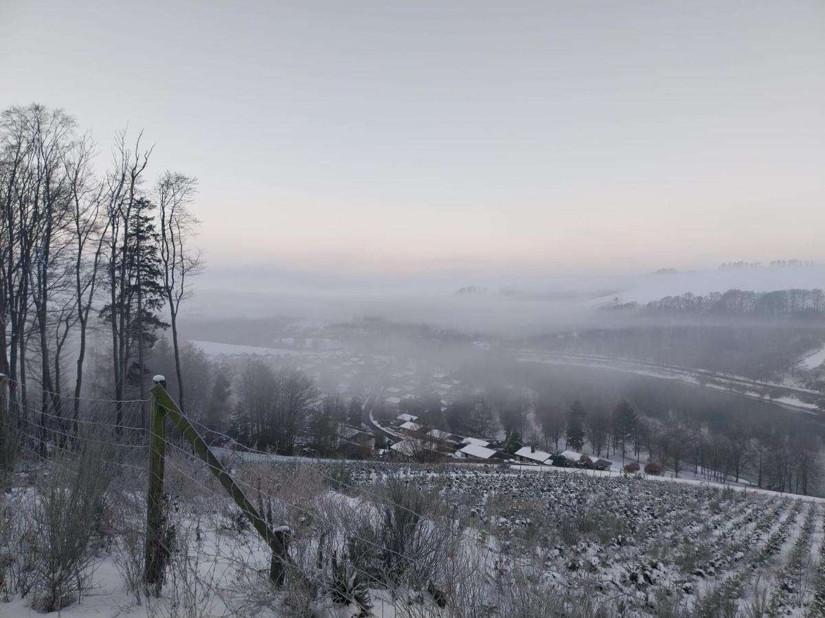 Ferienhaus Lena Im Sauerland Direkt Am Hennesee Meschede Eksteriør bilde